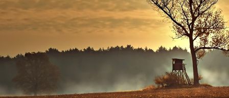 A foggy field with a silhouette of a watchtower and trees in the distance under a cloudy sky.