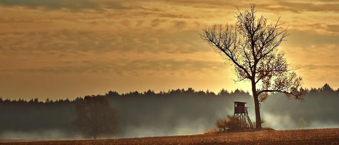 Eine neblige Landschaft mit einem Baum und einem Jagdturm in der Ferne.