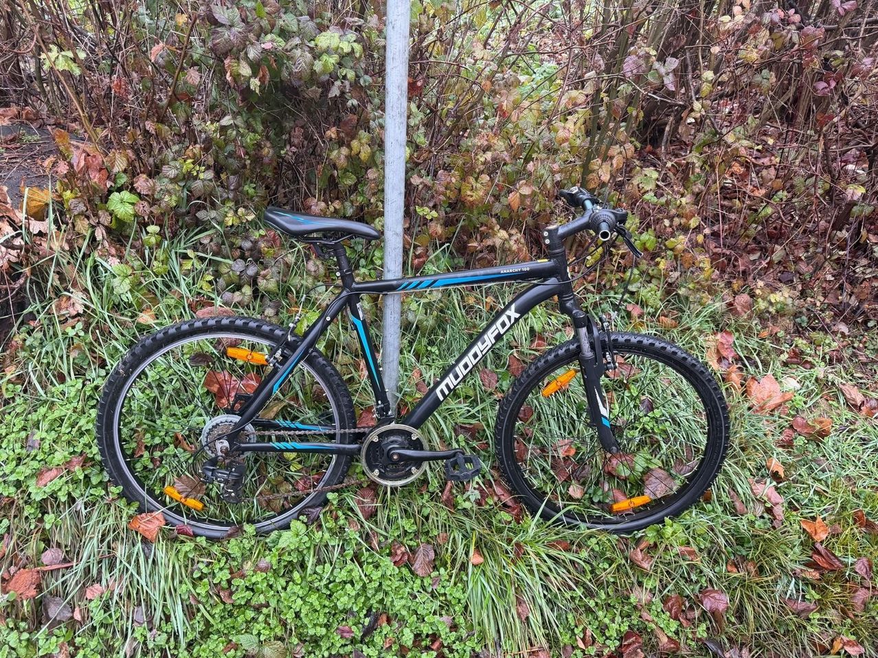 Ein schwarz-blaues Mountainbike mit dem Wort 'MOODFOX' auf dem Rahmen liegt auf dem Gras neben einem Pfosten, umgeben von Herbstblättern und Pflanzen.