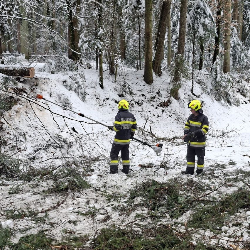 Zwei Feuerwehrleute arbeiten in einem verschneiten Wald. Sie tragen Helme und halten eine Kettensäge. Sie räumen die umgestürzten Bäume vom Boden.