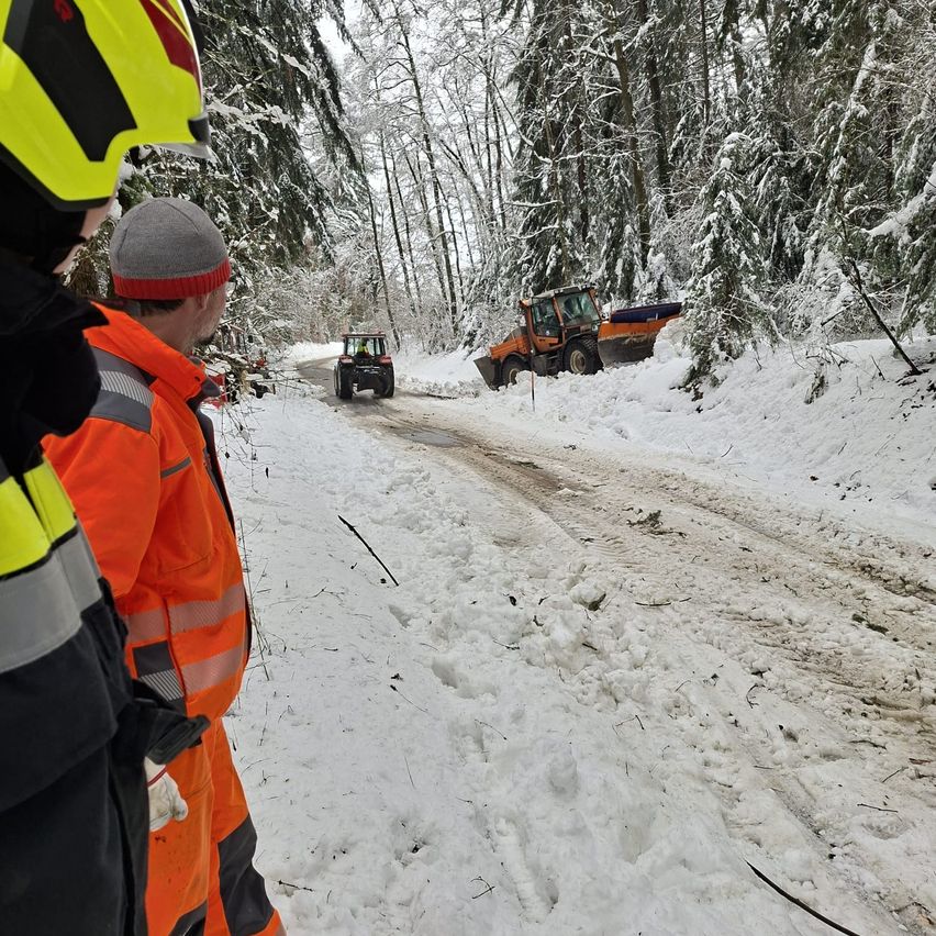 Zwei Personen in reflektierenden Kleidungsstücken beobachten einen Traktor und einen Schneepflug, die einen verschneiten Weg in einem Wald räumen.
