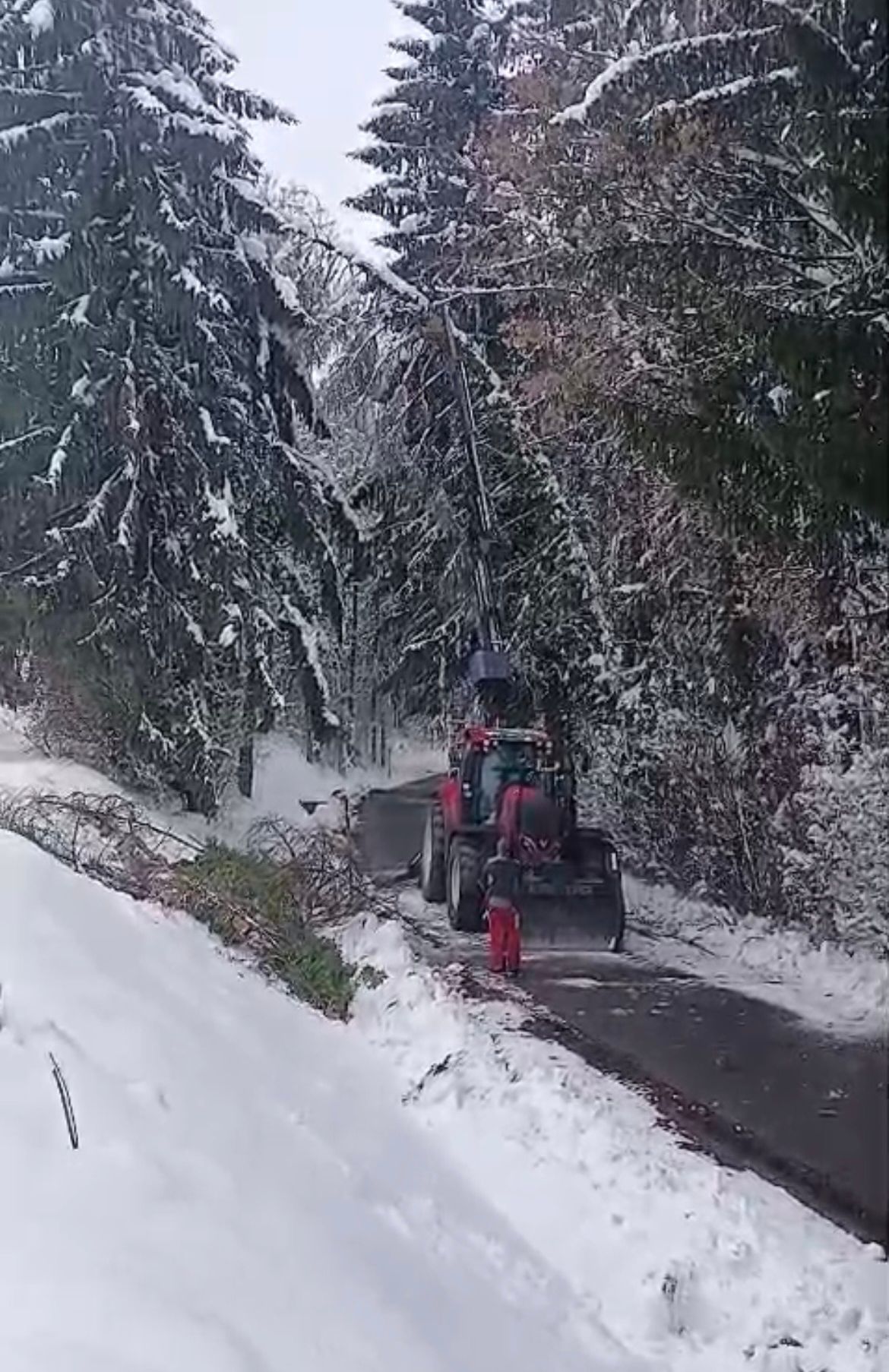 Ein Traktor mit einem Schneepflug-Aufsatz räumt Schnee auf einer verschneiten Straße, umgeben von Kiefern. Eine Person in roten Hosen steht in der Nähe und beaufsichtigt den Vorgang.