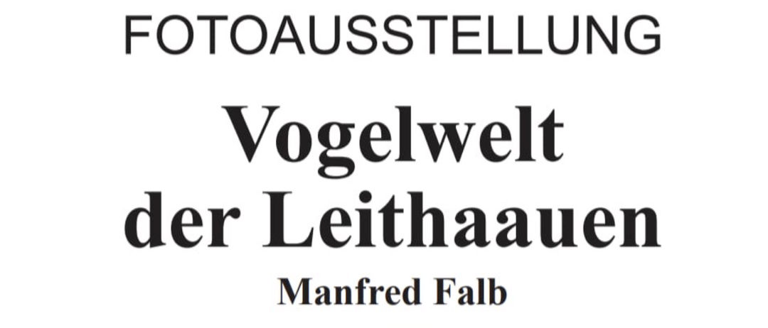 Plakat für eine Ausstellung über Vogelleben in Leithaauen von Manfred Falb. Ein Bild eines Vogels im Gras. Ausstellungseröffnung am 2. Mai 2025.