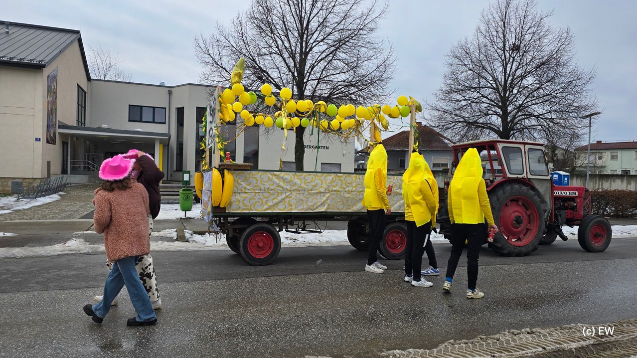 Ein dekorierter Anhänger mit gelben Bananen und Luftballons wird von einem Traktor gezogen. Mehrere Menschen in gelben Regenmänteln gehen daneben.