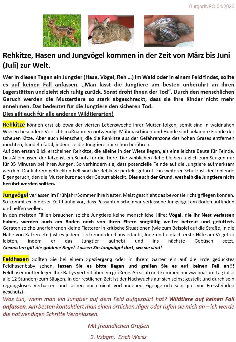 Rhekitze, Hasen und Jungvögel kommen in der Zeit von März bis Juni (Juli) zur Welt. Wer in diesen Tagen ein Jungtier (Hase, Vögel, Reh...) im Wald oder in einem Feld findet, sollte es auf keinen Fall anfassen. Man lässt die Jungtiere am besten unberührt an ihren Lagerstätten und zieht sich ruhig zurück. Sonst droht ihnen der Tod.