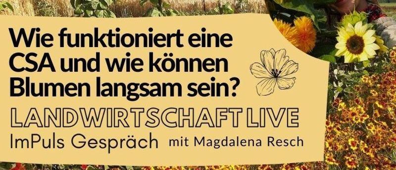 Bild enthält, Agriculture, Outdoors, Flower, Sunflower, Photography, Vegetation, Herbal, Head, Face, Gardening