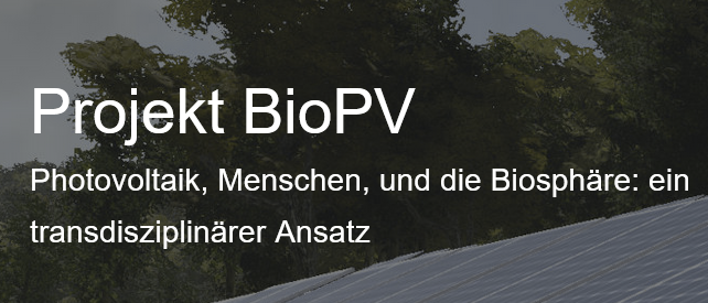 Projekt BioPV, das sich auf Photovoltaik, Menschen und die Biosphäre konzentriert, ist ein fächerübergreifender Ansatz. Erfahren Sie mehr.