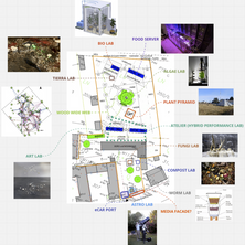 Bild enthält, Chart, Plot, Diagram, Plan, Person