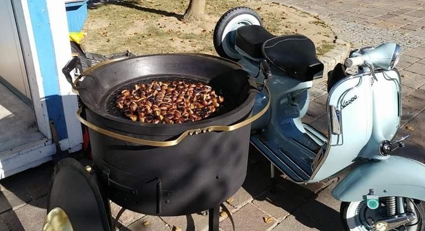 v1_migrated_image_95246111