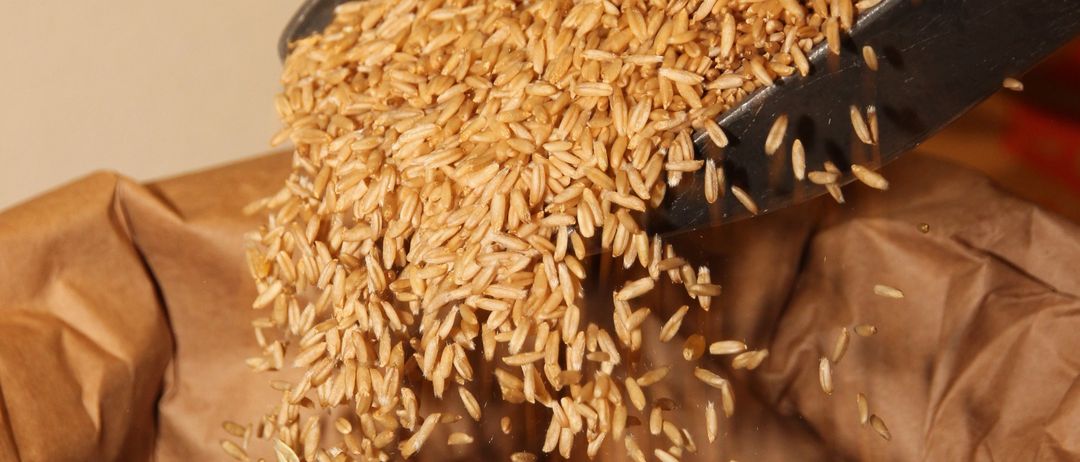 Ein schwarzer Löffel schüttet Reis in einen braunen Beutel, wobei die Körner in einer kreisförmigen Bewegung fallen.