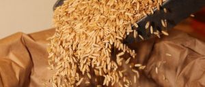 Ein schwarzer Löffel schüttet Reis in einen braunen Beutel, wobei die Körner in einer kreisförmigen Bewegung fallen.