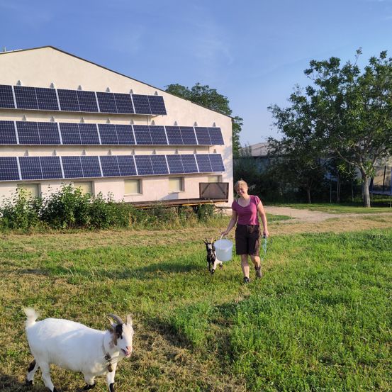 Eine Frau geht mit einer Ziege auf einem Feld mit Solarmodulen an einem Gebäude im Hintergrund.