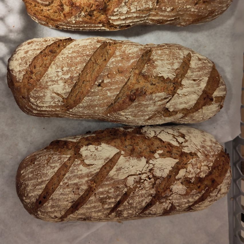 Drei Laibe von Artisan-Brot sind auf einem weißen Tuch ausgestellt. Jeder Laib hat eine goldbraune Kruste mit sichtbaren diagonalen Schnitten. Die Laibe variieren leicht in Größe und Textur und zeigen den rustikalen Stil.