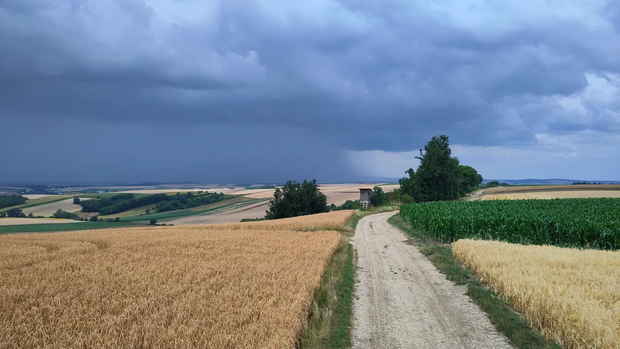 Ein schmaler Feldweg führt durch ein Weizenfeld unter einem stürmischen Himmel. Ein kleines Holzhaus steht in der Ferne.