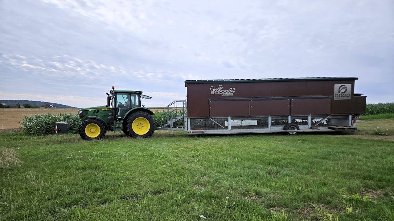 Ein grüner Traktor mit gelben Rädern zieht einen großen braunen Anhänger mit dem Wort 'Fehnartol' darauf auf einer Wiese unter einem bewölkten Himmel.