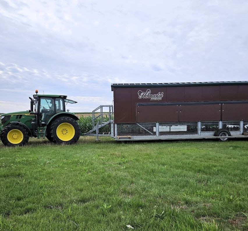 Ein grüner Traktor mit gelben Rädern zieht einen großen braunen Anhänger mit dem Wort 'Fehnartol' darauf auf einer Wiese unter einem bewölkten Himmel.