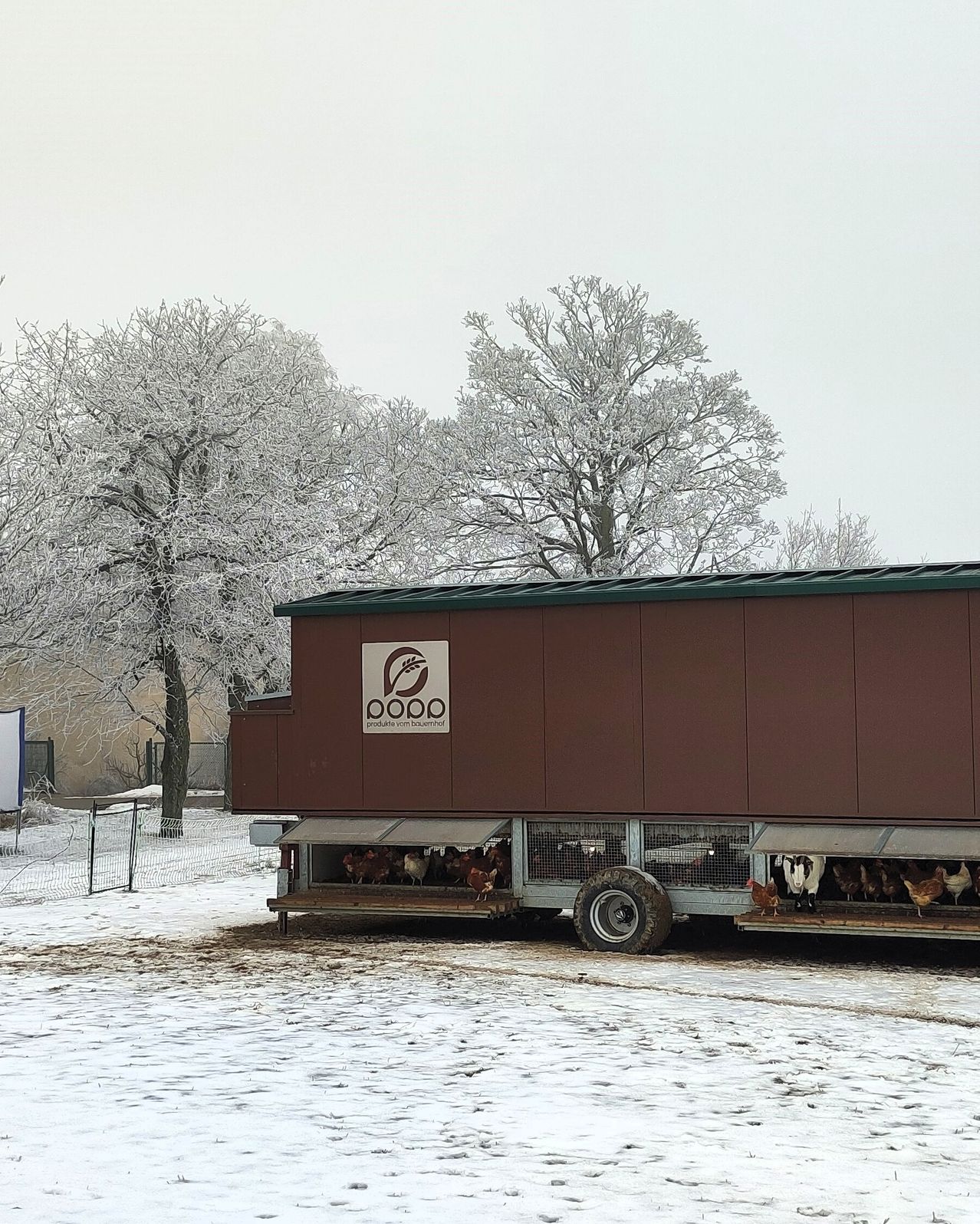 Ein brauner Hühnerstall mit weißem Logo, geparkt in einer verschneiten Landschaft mit laublosen Bäumen im Hintergrund.
