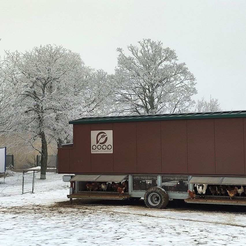 Ein brauner Hühnerstall mit weißem Logo, geparkt in einer verschneiten Landschaft mit laublosen Bäumen im Hintergrund.