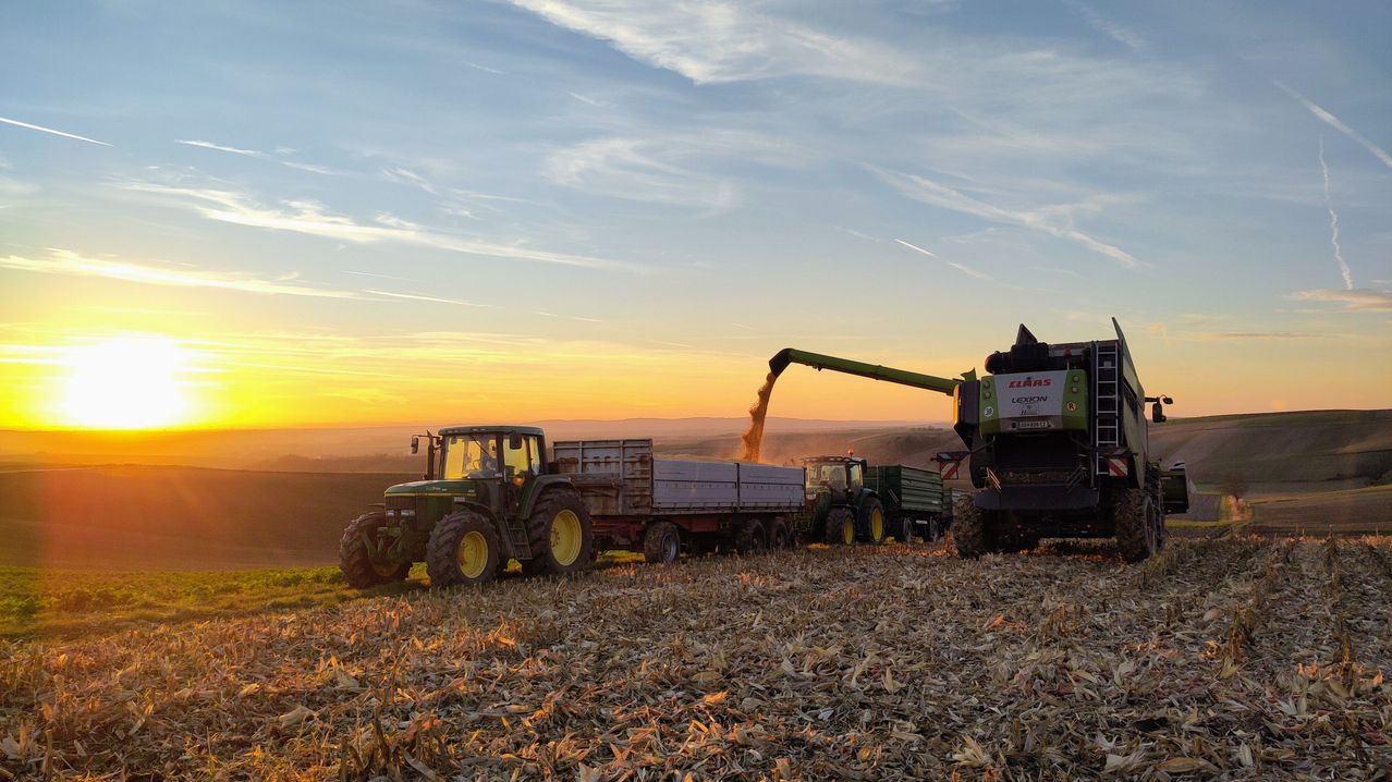 Ein Mähdrescher sammelt Erntegut von einem Traktoranhänger bei Sonnenuntergang. Der Himmel ist blau mit einigen Wolken. Der Traktor und der Mähdrescher stehen auf einem Feld mit geernteten Pflanzen.