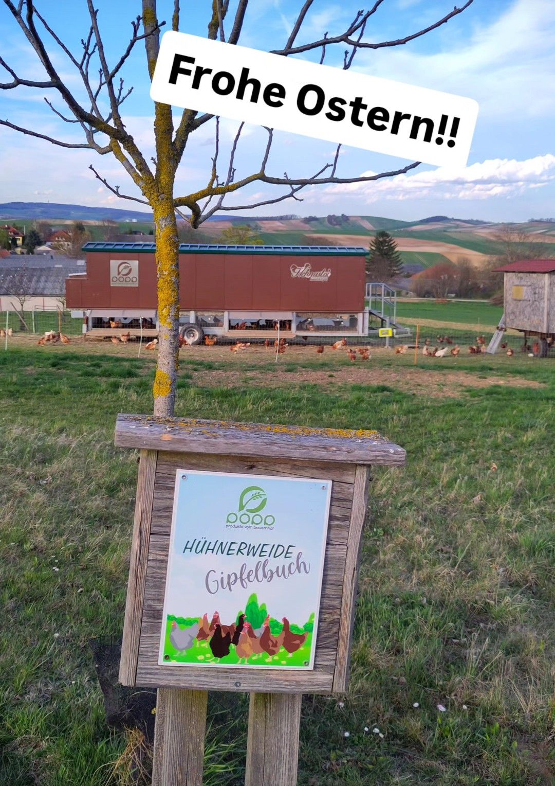 Ein Schild für einen Hühnerhof mit einem grünen Feld und Hühnern im Hintergrund. Der Bauernhof hat eine rote Scheune mit Logo und Text.