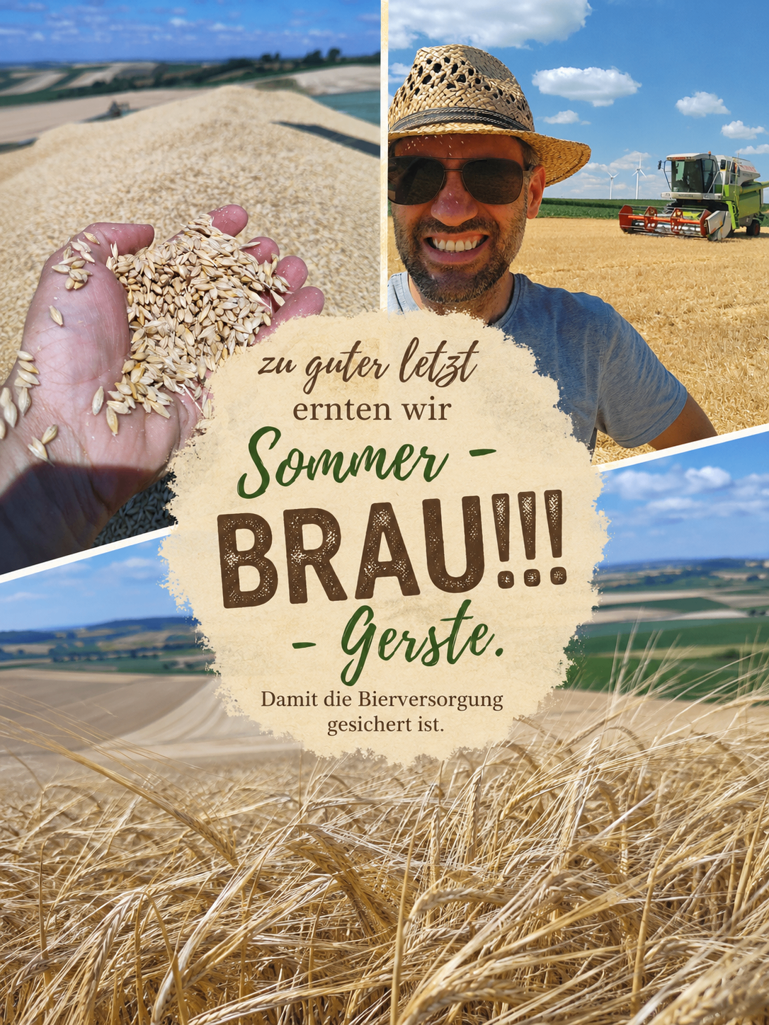 Braugerstenernte