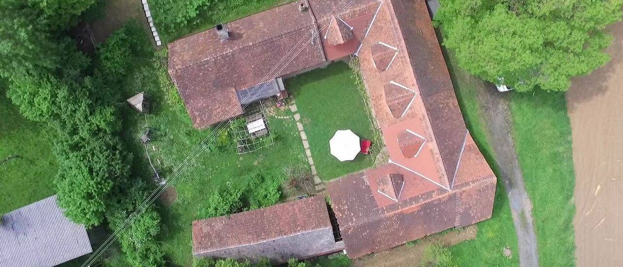 v1_migrated_image_23211086