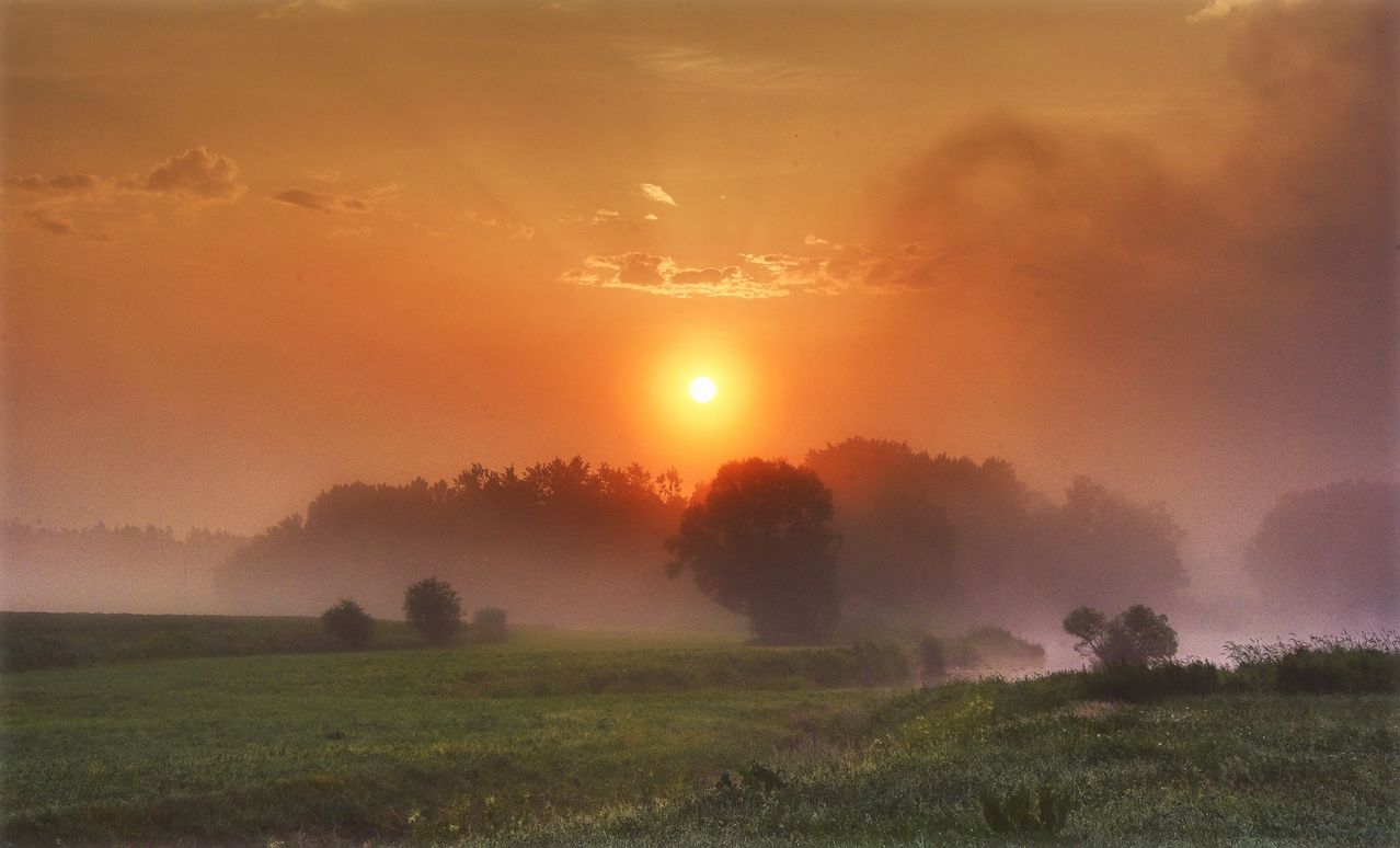 Die Sonne geht über einem nebligen Feld mit Bäumen und einem Fluss unter, der eine warme Ausstrahlung verleiht. Der Himmel ist in Orange- und Gelbtönen gemalt.
