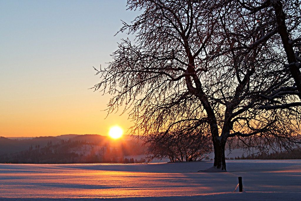Eine verschneite Landschaft mit einem untergehenden Sonnen hinter einem Baum. Der Boden ist mit Schnee bedeckt und reflektiert die warmen Farben des Sonnenuntergangs. In der Ferne sind Berge und Bäume zu sehen.