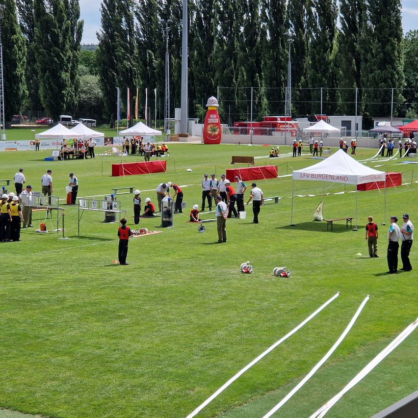 Bild enthält, Grass, Plant, People, Person, Field, Outdoors, Park, Lawn, Soccer Ball, Sport