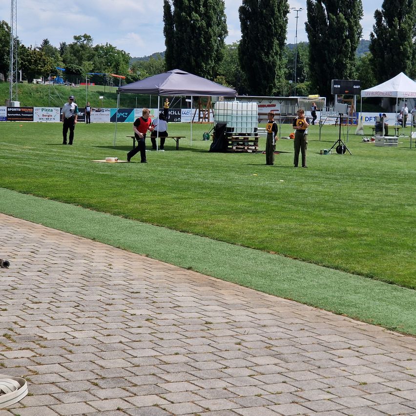 Bild enthält, Grass, Plant, Path, People, Person, Nature, Outdoors, Park, Lawn, Walkway
