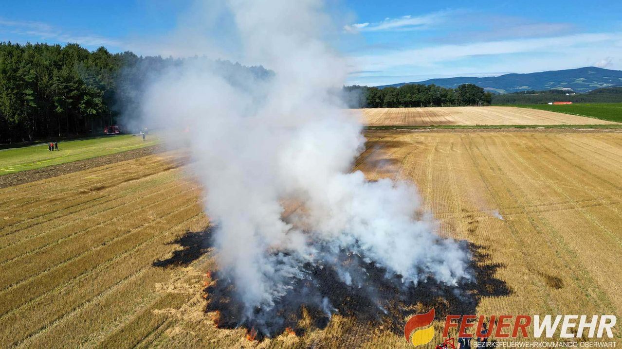 Eine Luftaufnahme eines Feldes mit einem Feuer, das Rauch aufsteigen lässt. Bäume und Berge sind in der Ferne zu sehen.