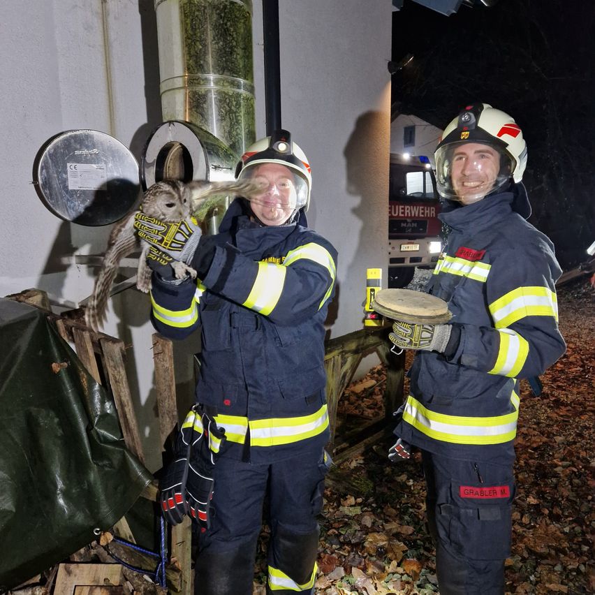 Zwei Feuerwehrleute in blauen Uniformen mit gelben Streifen halten einen kleinen Eulen vor einem Gebäude in der Nacht.