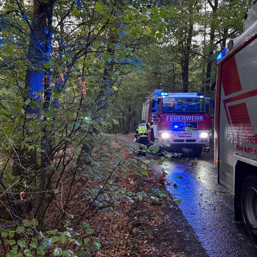 Ein Feuerwehrauto mit blinkenden blauen Lichtern steht auf einer nassen Straße im Wald. Eine Person in einer gelben Weste steht in der Nähe.