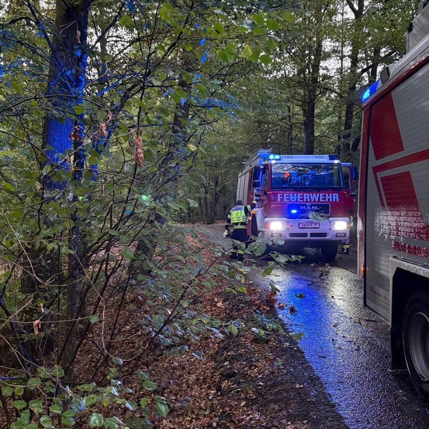 Ein Feuerwehrauto mit blinkenden blauen Lichtern steht auf einer nassen Straße im Wald. Eine Person in einer gelben Weste steht in der Nähe.