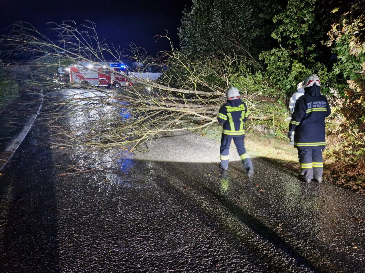 Zwei Feuerwehrleute gehen bei Nacht auf einer nassen Straße, mit einem umgestürzten Baum, der den Weg blockiert. Ein Feuerwehrauto ist in der Nähe geparkt.