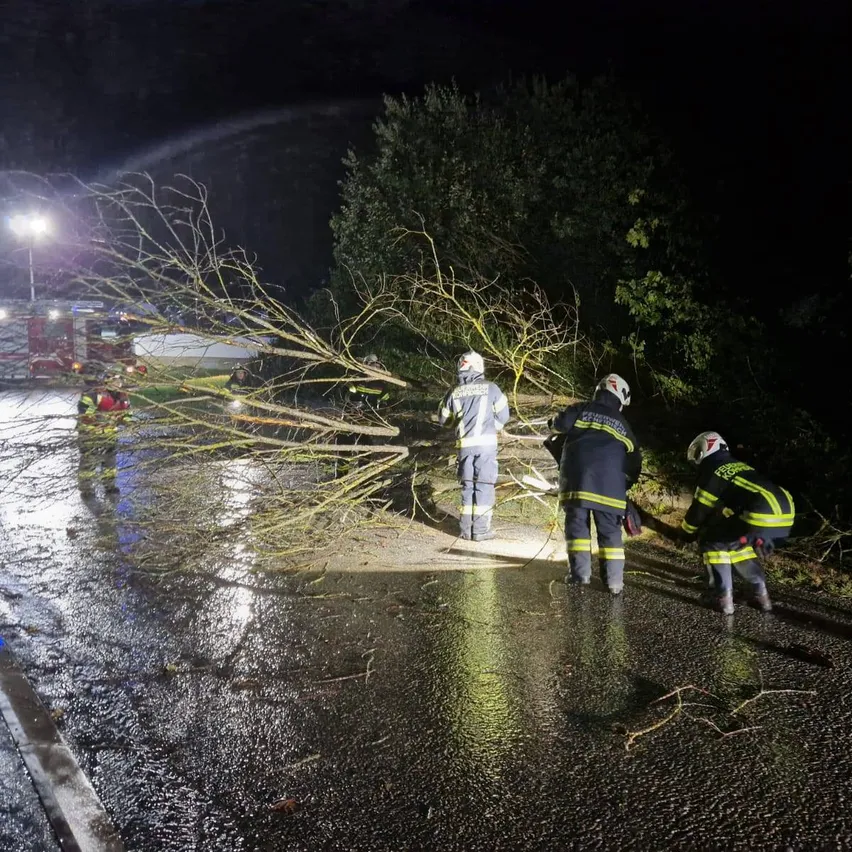 Drei Feuerwehrleute in Uniform räumen bei Nacht eine umgestürzte Baum von einer nassen Straße.