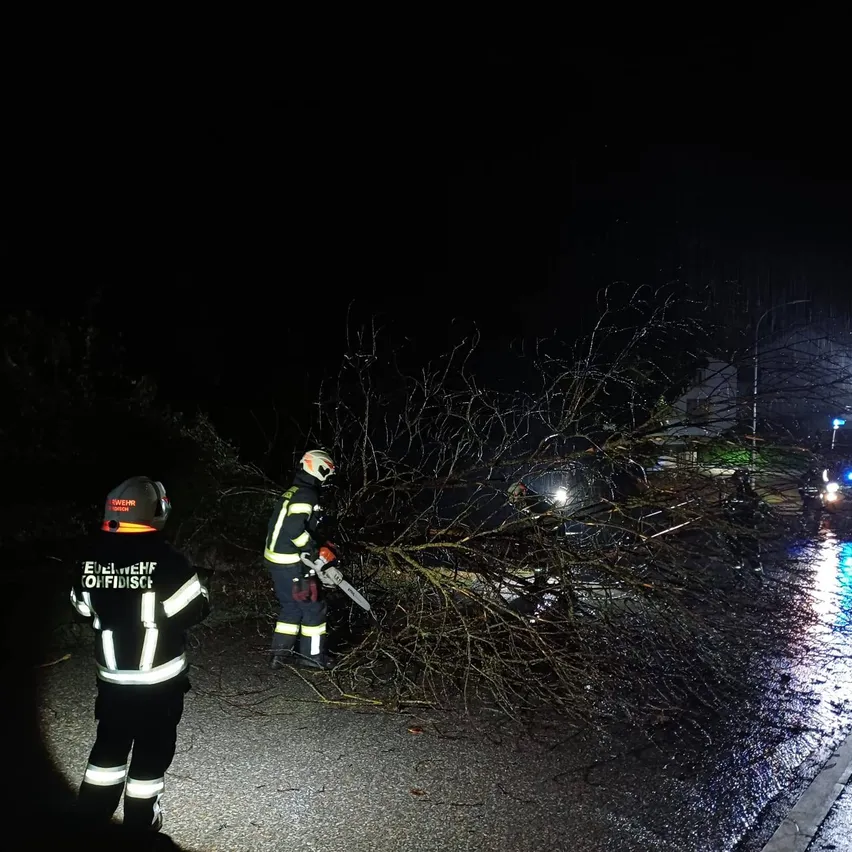 Zwei Feuerwehrleute in voller Ausrüstung schneiden einen umgestürzten Baum auf einer nassen Straße bei Nacht ab.