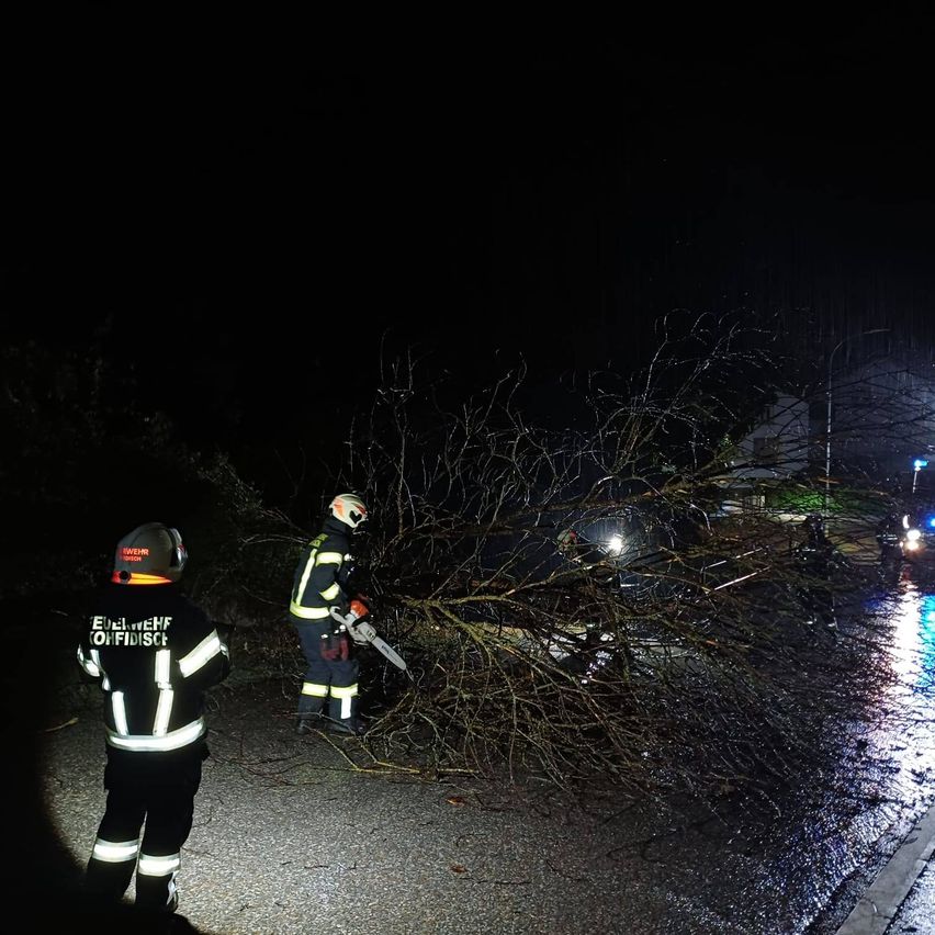 Zwei Feuerwehrleute in voller Ausrüstung schneiden einen umgestürzten Baum auf einer nassen Straße bei Nacht ab.