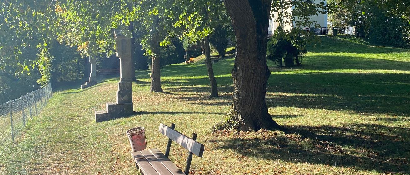 Bild enthält, Grass, Park, Bench, Furniture, Tree, Tree Trunk, Grove, Vegetation, Woodland, Scenery