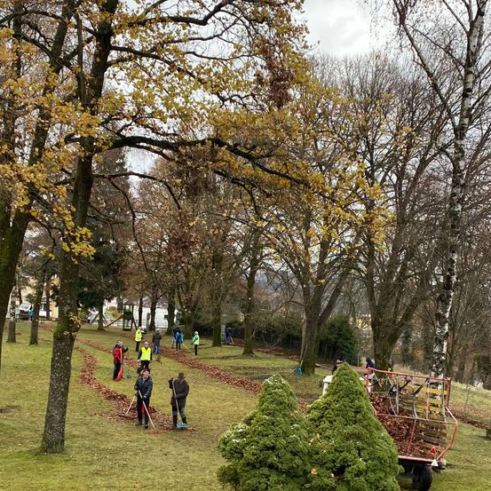 Image contains, Grass, Outdoors, Park, Person, Autumn, Tree, Vegetation