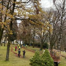 Bild enthält, Grass, Outdoors, Park, Person, Autumn, Tree, Vegetation