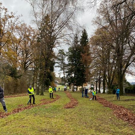 Bild enthält, Person, Walking, Grass, Park, Vegetation, Glove, Tree, Woodland, Grove, Man