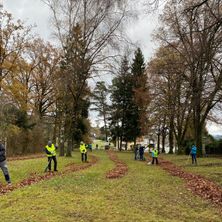 Bild enthält, Person, Walking, Grass, Park, Vegetation, Glove, Tree, Woodland, Grove, Man
