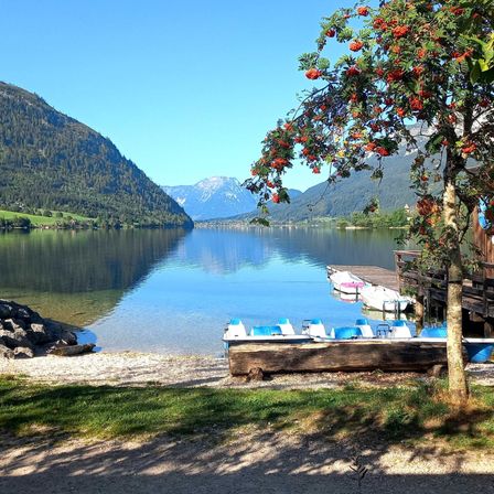 Ein ruhiger See umgeben von Bergen, mit einem Steg, Booten und einem Baum mit roten Beeren.