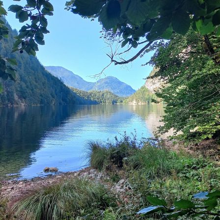 Ein ruhiger See umgeben von üppigem Grün und Bergen unter einem klaren blauen Himmel.