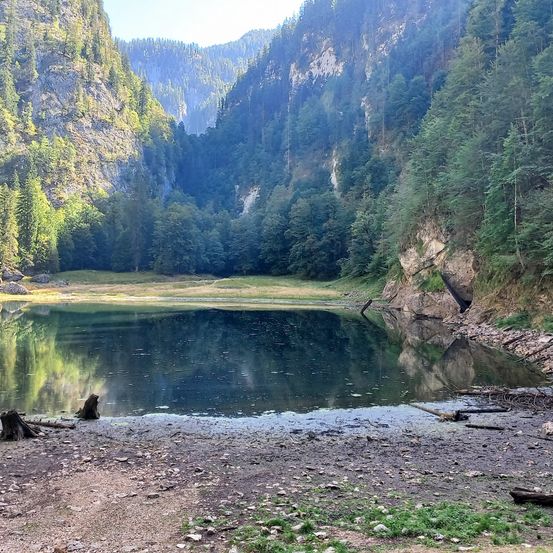 Ein ruhiger Bergsee umgeben von üppigem Grün und felsigen Klippen unter einem klaren Himmel.