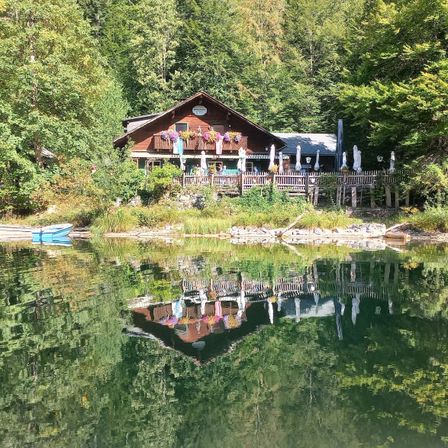 Ein charmantes Chalet am See mit farbenfrohen Blumen auf dem Balkon, umgeben von üppigem Grün und einem kleinen Boot im Wasser.