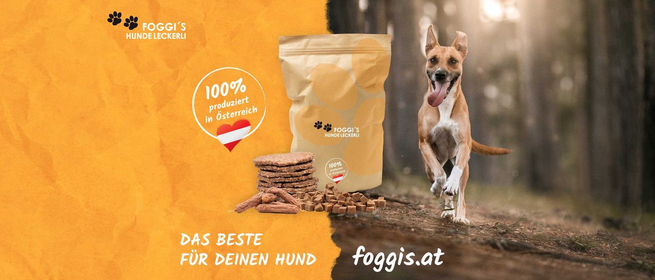 Bild enthält, Advertisement, Animal, Canine, Dog, Mammal, Pet, Poster, Hound