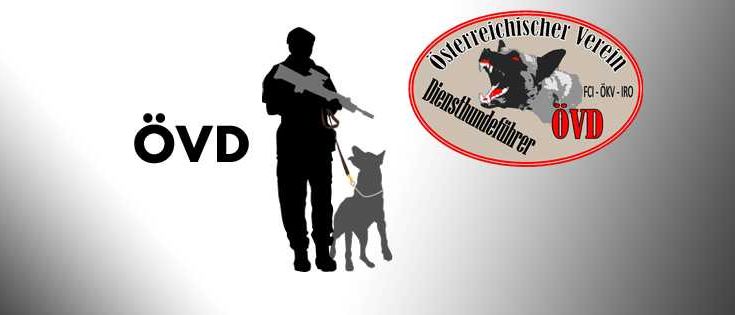 305809343_147464274650157_1135614335102496123_n