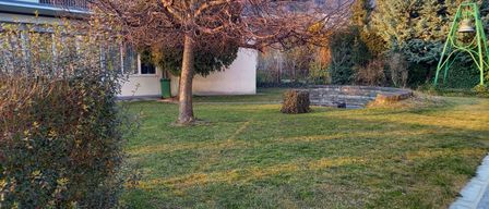 Ein Haus mit einem großen Baum davor, einem kleinen Garten mit Rasen und einem kleinen Pfad. Es gibt einen grünen Mülleimer in der Nähe des Hauses.